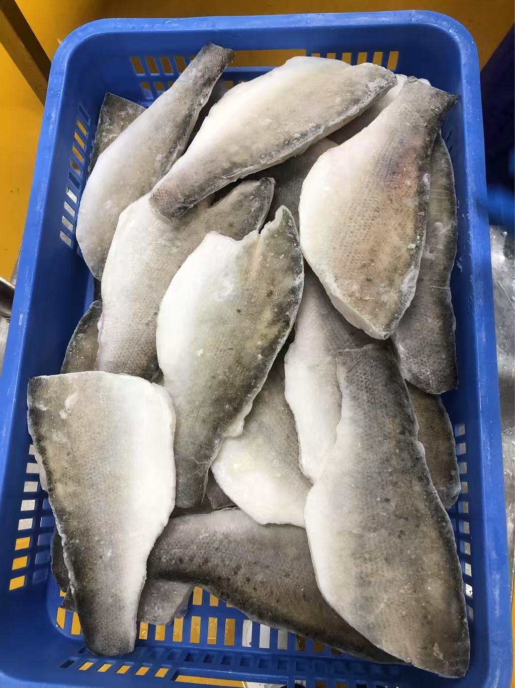 Seabass Fillets