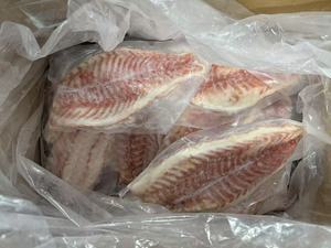Red Drum Fillets