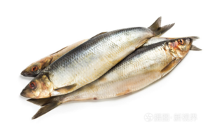 Herring