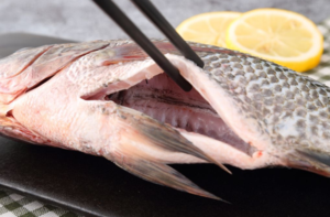 Tilapia GS